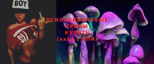 Альфа ПВП Бородино