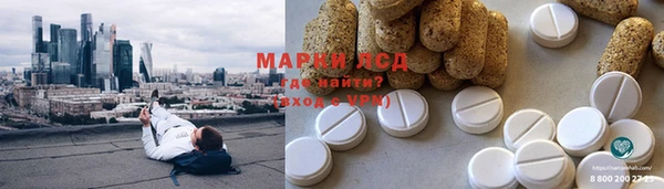 PSILOCYBIN Бугульма