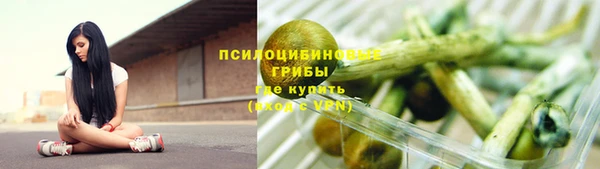 PSILOCYBIN Бугульма