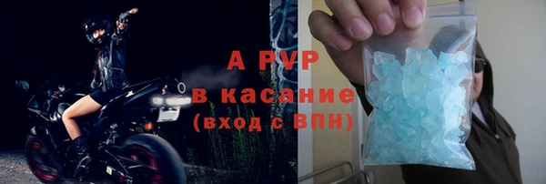 PSILOCYBIN Бугульма