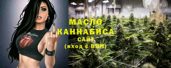 Альфа ПВП Бородино