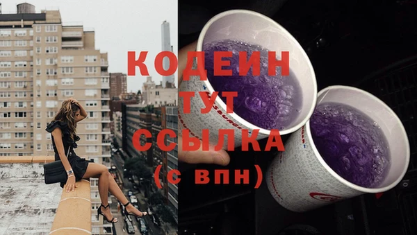 Альфа ПВП Бородино