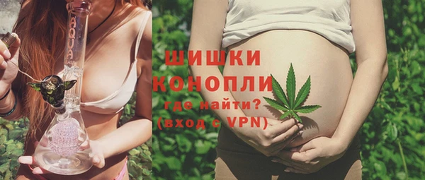 Альфа ПВП Бородино