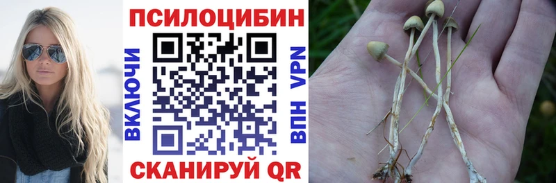 Галлюциногенные грибы мухоморы  Зея 